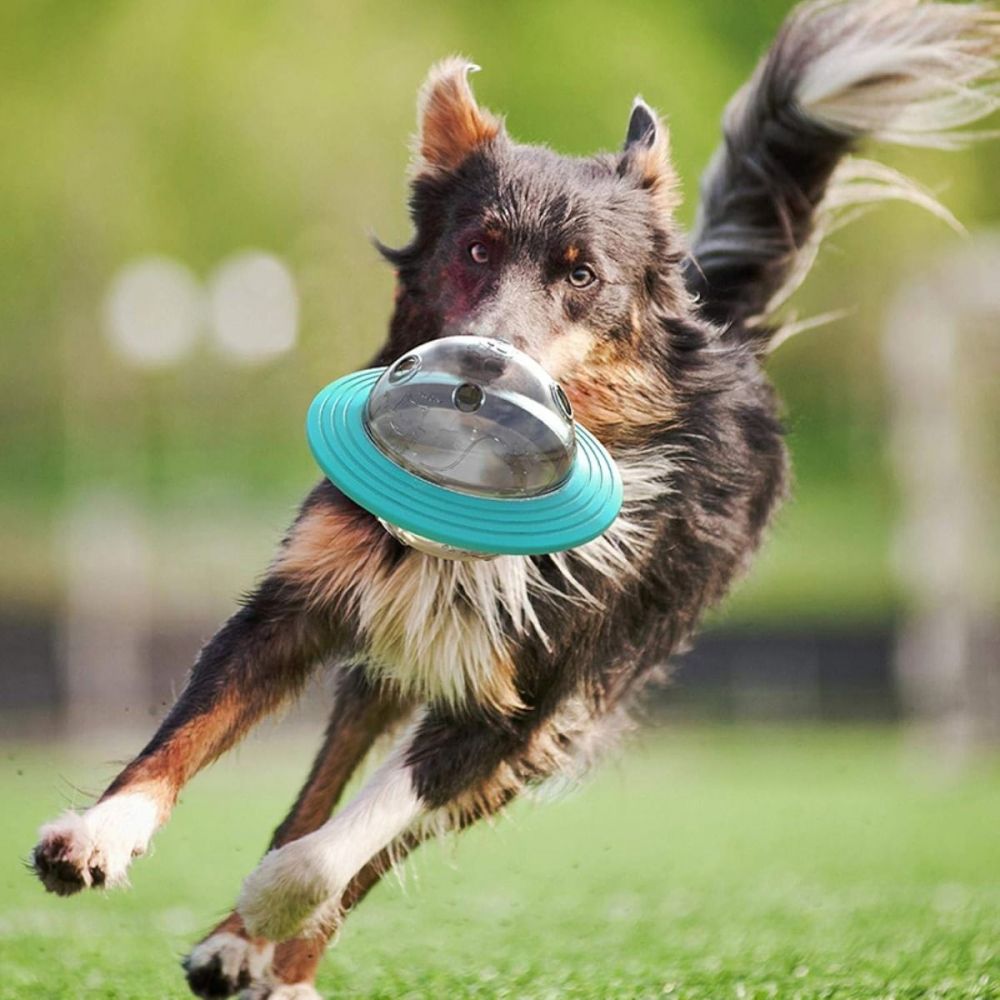 Ciotola giocattolo cane interattivo ed educativo